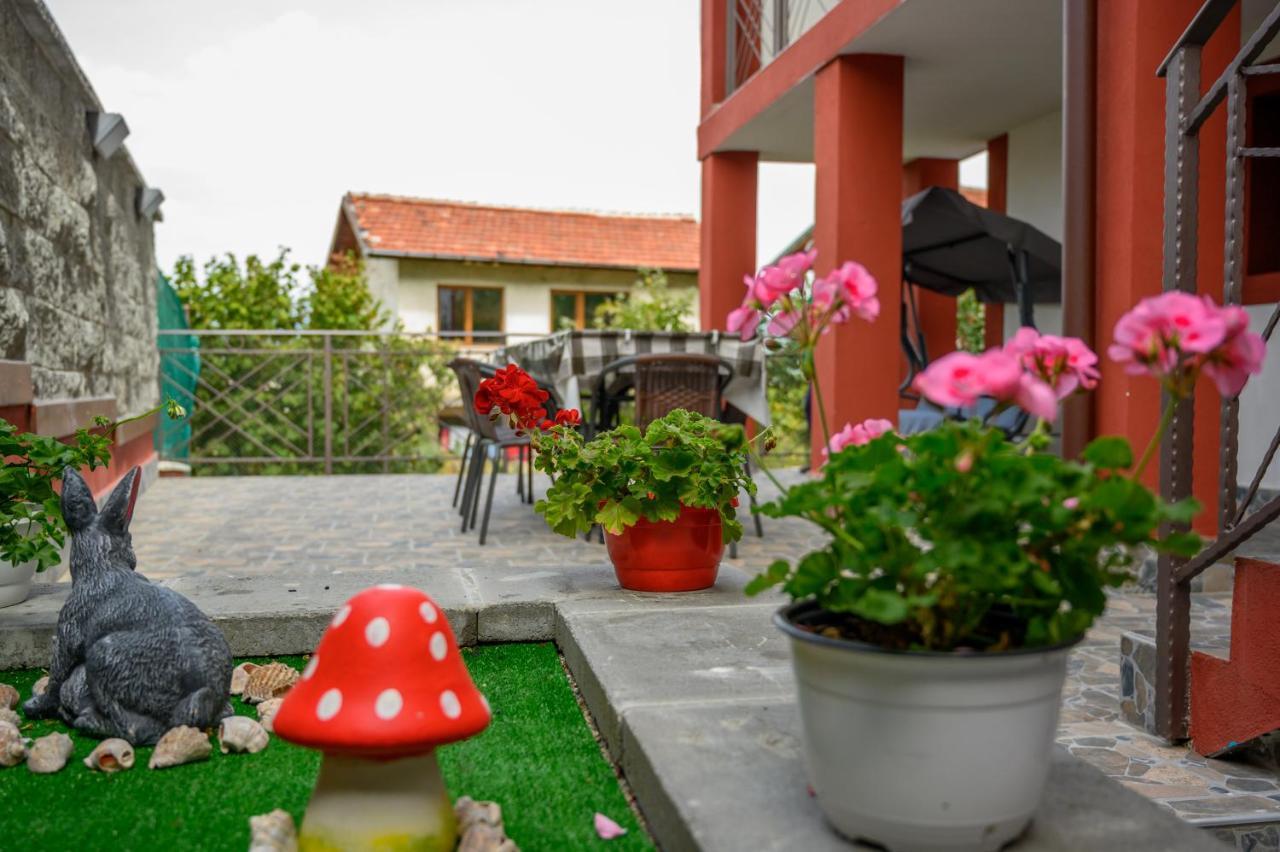 Къща За Гости „Жоро И Дани “ Villa Sapareva Banya Dış mekan fotoğraf